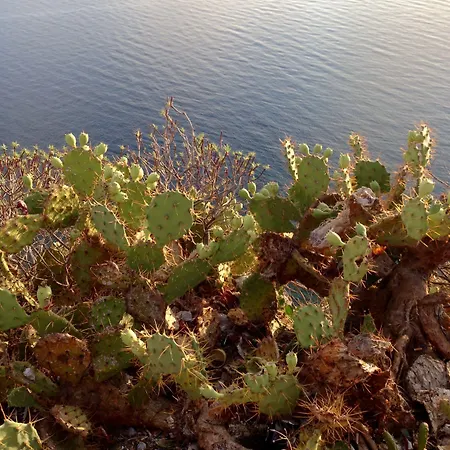 拉拜亚迪乌丽赛酒店 * 韦内蒂科